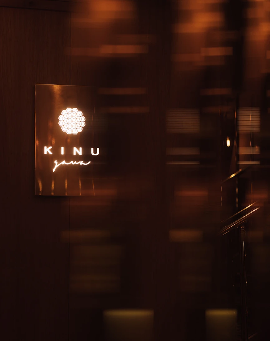 Kinugawa Contact